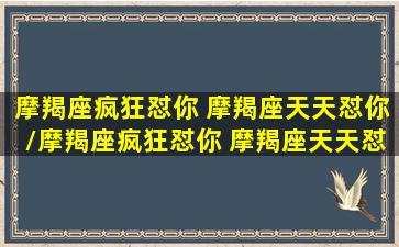 摩羯座疯狂怼你 摩羯座天天怼你/摩羯座疯狂怼你 摩羯座天天怼你-我的网站